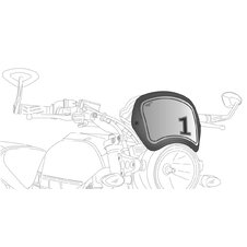 Náhradné PUIG FRONTAL PLATE 9229C karbónový vzhľad