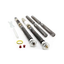 Cartridge prednej vidlice K-TECH DDS 155-011-150/010