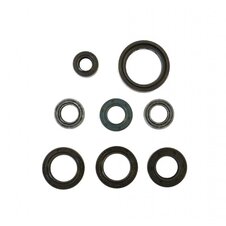 Sada gufier mototra ATHENA P400210400100