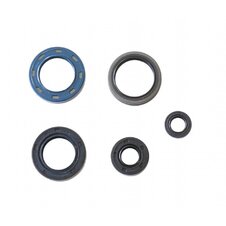 Sada gufier mototra ATHENA P400210400180