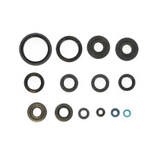 Sada gufier mototra ATHENA P400250400029