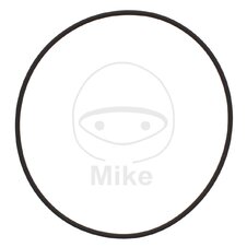 Tesnenie  vodnej pumpy ATHENA M752007800004 2X78 mm