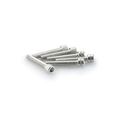 Skrutky PUIG ANODIZED 0346P strieborná M6 x 35 mm (6ks)