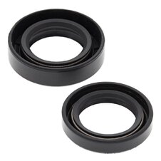 Sada gufier  motoru WINDEROSA EOSK 55168