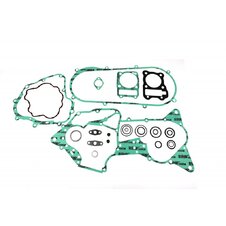 Sada tesnení motoru kompletná ATHENA P400210850211