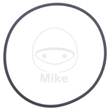 Tesnenie  vodnej pumpy ATHENA M752508300004 2.5X83 mm