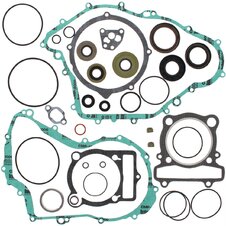 Sada  tesnení motoru-  komplet  vr. gufier WINDEROSA CGKOS 811861