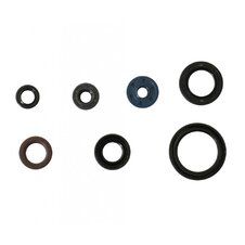 Sada gufier mototra ATHENA P400485400187