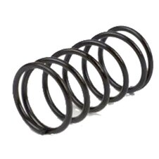 Spojkové pružiny RMS 121950140