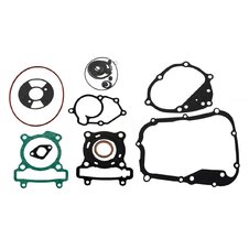 Tesnenie motora - sada RMS 100689810