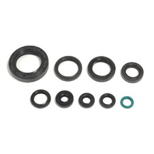 Sada gufier mototra ATHENA P400210400250