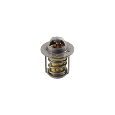 Termostat RMS 100120790