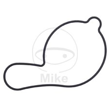 Tesnenie  vodnej pumpy ATHENA S410485024028