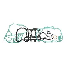 Tesnenie motora - sada RMS 100689931