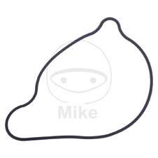 Tesnenie  vodnej pumpy ATHENA S410485024015