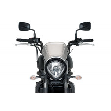 Plexi na motorku PUIG FRONTAL PLATE 3592P strieborná hliník