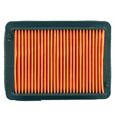 Vzduchový filter NYPSO 100602441