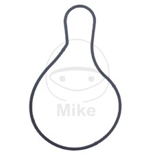 Tesnenie  vodnej pumpy ATHENA S410485024016