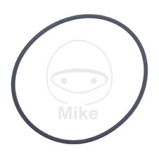 Tesnenie  vodnej pumpy ATHENA M752005700004 2X57 mm