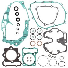 Sada  tesnení motoru-  komplet  vr. gufier WINDEROSA CGKOS 811263