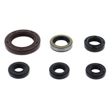 Sada gufier  motoru WINDEROSA EOSK 822973