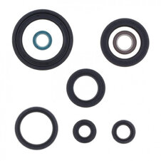 Sada gufier motoru ATHENA P400210400319