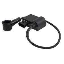 CDI jednotka RMS 246010472