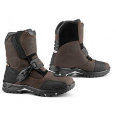 Falco - Marshall / brown