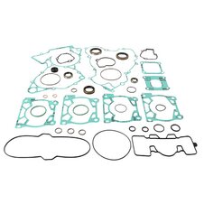 Sada  tesnení motoru-  komplet  vr. gufier WINDEROSA CGKOS 8110010